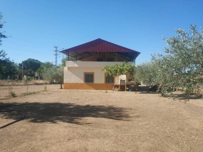 Venta Casa unifamiliar Valdetorres de Jarama. Buen estado con terraza 2200 m²