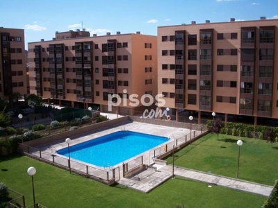 Apartamento en alquiler en Calle de Pirra, 44