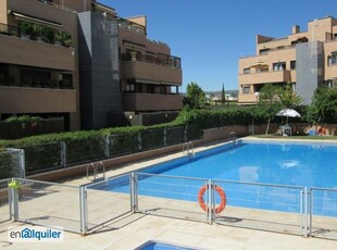 Alquiler piso piscina Club de golf-el cantizal