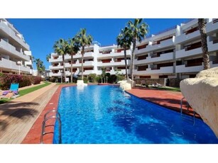 Amplio apartamento en la zona de Playa Flamenca en Orihuela Costa. - SWE6382