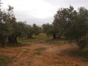 Terreno rústico en venta enpre. paraje cuesta de la muela,bailen,jaén