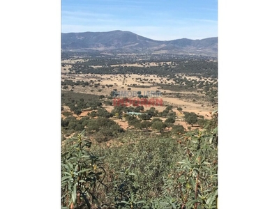 Casa de campo-Masía en Venta en Cabañas Del Castillo Cáceres Ref: 51689