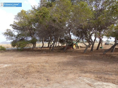 Casa venta de finca agrícola en los belones en Los Nietos Cartagena