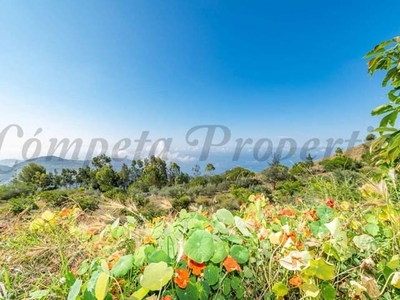 Nerja finca en venta