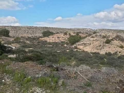 Suelo urbano en venta en la Partida La Parrita' Crevillente