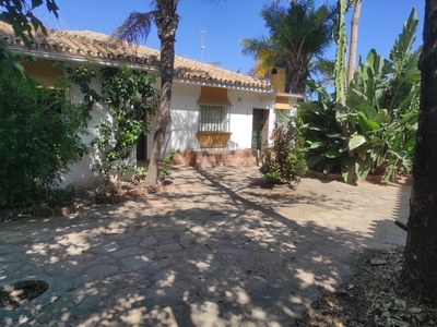 Casa-Chalet en Venta en San Pedro Alcantara Málaga