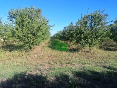 Parcela en venta en Montijo