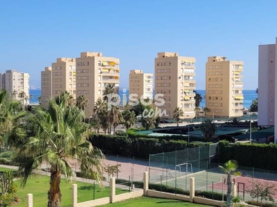 Apartamento en venta en Urbanova