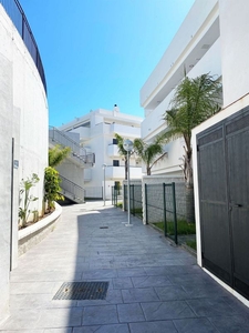 Piso en alquiler en avenida Virgen de la Palma de 2 habitaciones con terraza y piscina