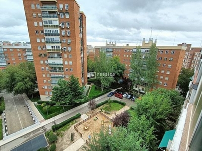 Piso en alquiler en CALLE TEMBLEQUE, Aluche, Latina, Madrid, Madrid