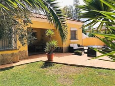 Alquiler de casa con piscina y terraza en Chiclana de la Frontera, La rana verde