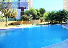 Apartamento en Benidorm