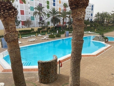 Alquiler de apartamento en calle Playa del Inglés de 1 habitación con terraza y piscina