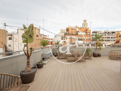 Alquiler de estudio en El Mercat con terraza y piscina