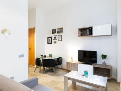 Alquiler de piso en El Ejido - La Merced - La Victoria de 1 habitación con muebles y aire acondicionado
