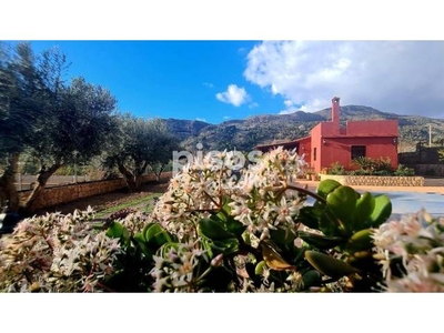 Finca rústica en alquiler en Centro