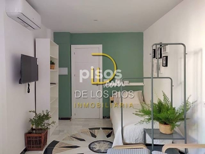 Loft en alquiler en Calle de los Alamillos de San Cecilio