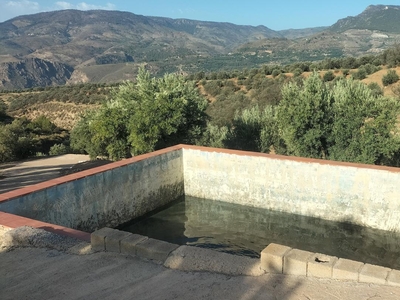 Venta de casa con piscina en El Pinar