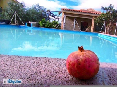 Alquiler casa piscina Naquera