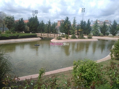 Alquiler piso alquiler en Juncal con 3 dormitorios, garaje y piscina!!! en Torrejón de Ardoz