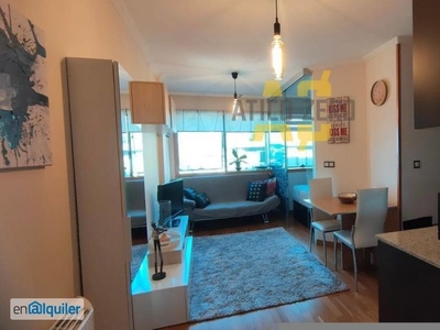 Apartamento alquiler zona garcía barbón