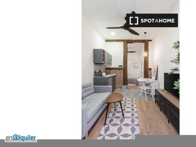 Apartamento de 1 dormitorio en alquiler en Madrid