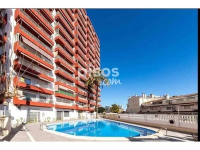 Apartamento en alquiler en Platja de La Pobla de Farnals