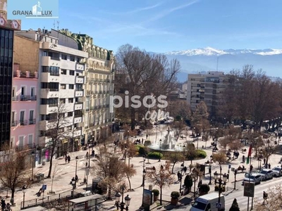 Piso en alquiler en Puerta Real