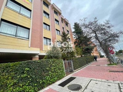 Piso en venta en Barrio España-San Pedro Regalado en Barrio España-San Pedro Regalado por 129.900 €