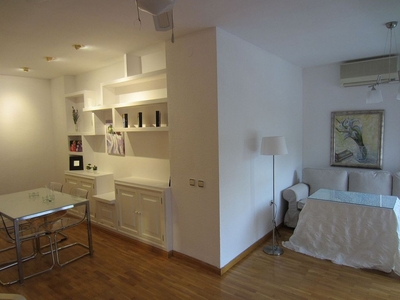 Alquiler de piso en Pardaleras de 1 habitación con muebles y aire acondicionado