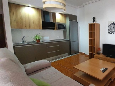 Piso en alquiler en calle Gustavo Adolfo Becquer de 1 habitación con muebles y aire acondicionado
