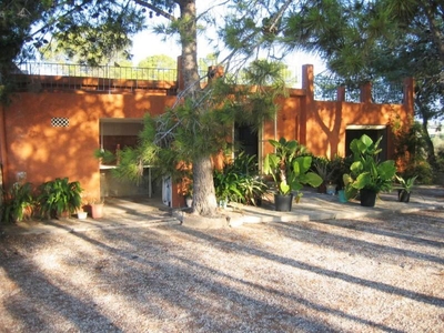 Casa con terreno en El Rebolledo