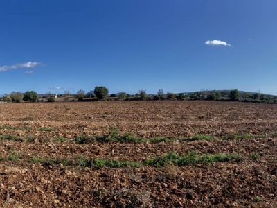 Manacor terreno en venta