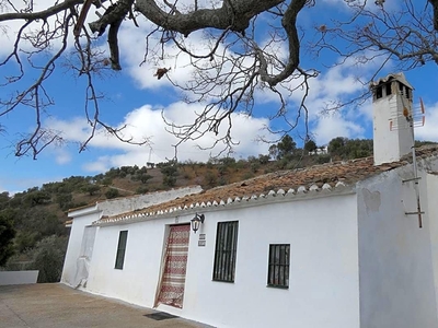 Finca/Casa Rural en venta en Colmenar, Málaga