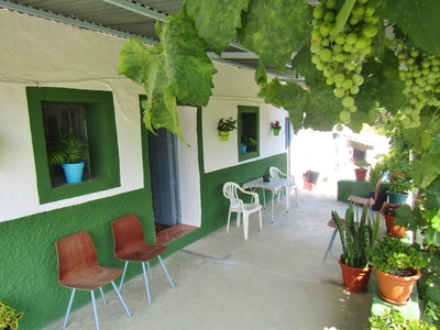 Finca/Casa Rural en venta en Río Bermuza, Canillas de Aceituno, Málaga
