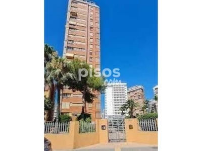 Apartamento en venta en Calle Dr Orts Llorca