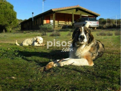 Finca rústica en venta en Camino de Molino Quemado