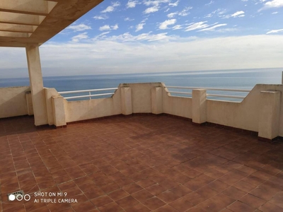Alquiler Piso Alicante - Alacant. Piso de dos habitaciones Décima planta con balcón
