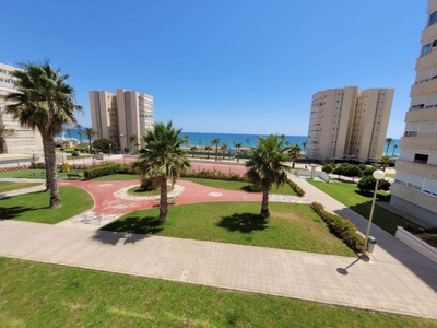 Alquiler Piso Alicante - Alacant. Piso de dos habitaciones Segunda planta con balcón