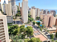 Estudio en Benidorm