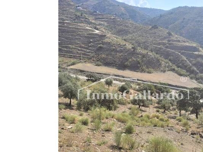 FINCA RUSTICA EN VENTA