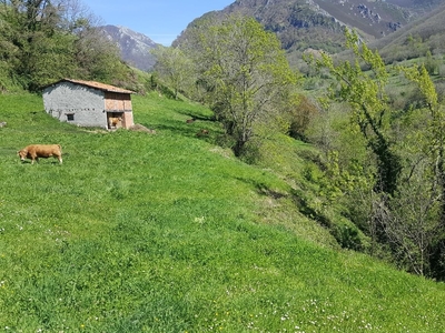 Finca rústica en venta en la Bezanes sn' Bezanes