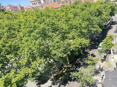 Piso en alquiler en Centro - Valladolid de 3 habitaciones con garaje y aire acondicionado