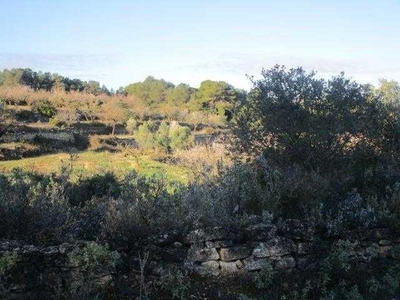 Terreno no urbanizable en venta en la Camí de la Serra de Mossén Ferret' Gandesa