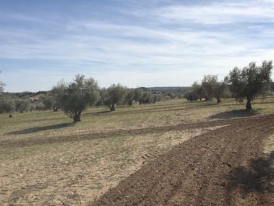 Terreno no urbanizable en venta en la Camino de Toledo' Villamuelas