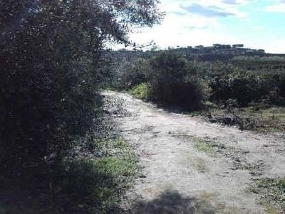 Terreno no urbanizable en venta en la Los Cojos' Alcolea del Río