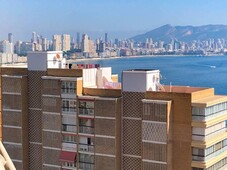 Venta Piso Benidorm. Piso de tres habitaciones Buen estado décima planta con terraza