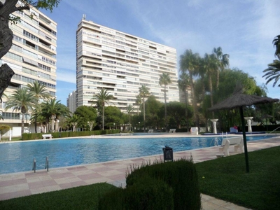 Alquiler Piso Alicante - Alacant. Piso de tres habitaciones 13 con terraza