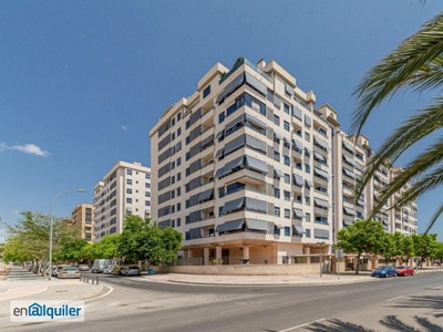 Alquiler piso terraza y piscina Alacant / Alicante