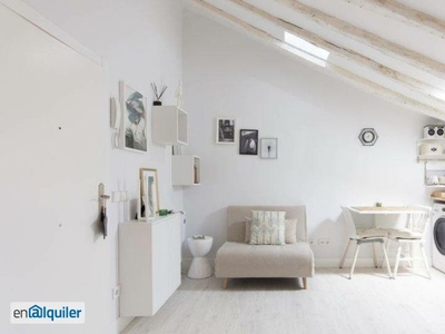 Precioso apartamento estudio con aire acondicionado en alquiler en La Latina.